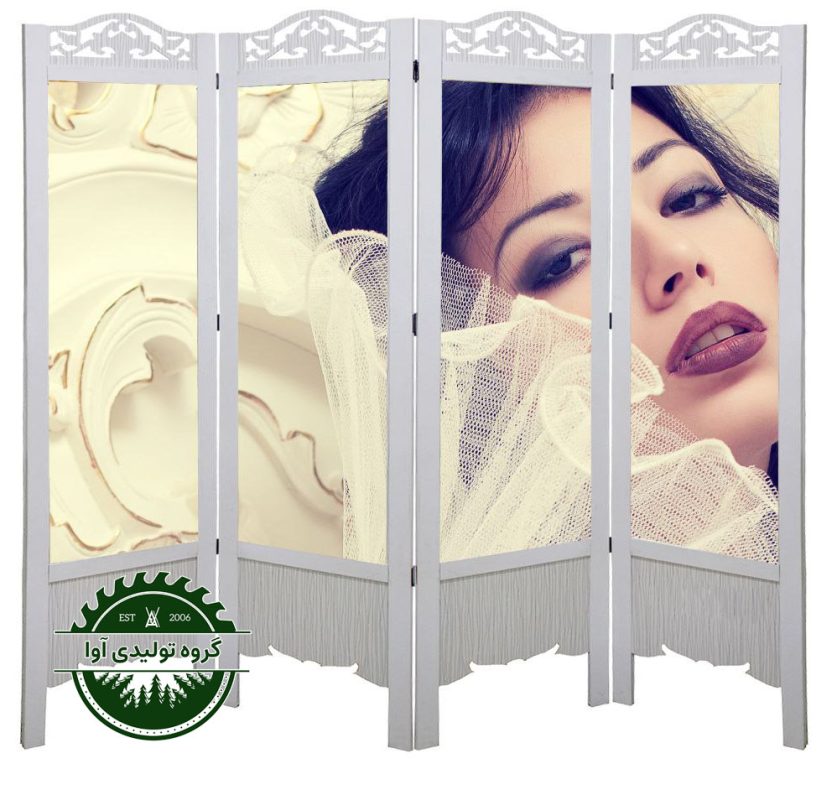 پاراوان تصویری